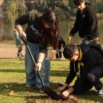 CONAF Maule dona árboles nativos para incrementar áreas verdes en el Parque Río Claro