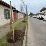 Lanzan sello “Parral Ciudad Bosque” con la plantación de sus primeros 300 árboles