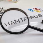 Investigador UCM advierte posibles escenarios de propagación del hantavirus entre personas