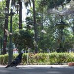 Identidad, memoria y patrimonio de Curicó