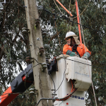 CGE informa más de 99% de recuperación del suministro afectado por temporal en el Maule