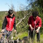 Nueva etapa de reforestación del Bosque Municipal con activa participación de la comunidad