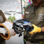 Seremi de Salud y Carabineros llaman a celebrar Fiestas Patrias sin uso de hilo curado